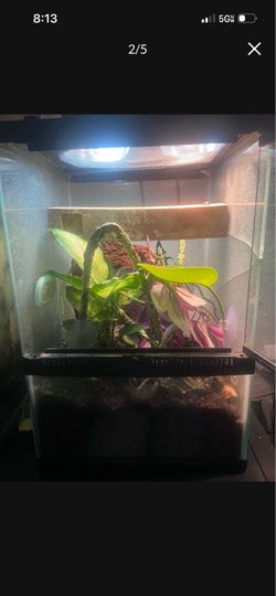 Reptile enclosure