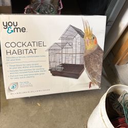 Bird Cage Cockatiel Habitat