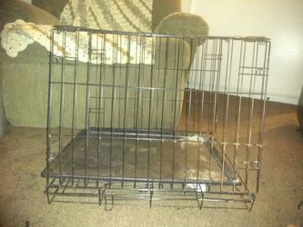 Animal cage medium