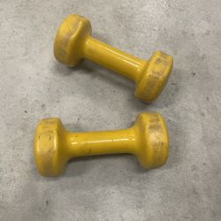 8 lb Dumbbells 