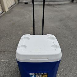 IGloo 60 Qt 