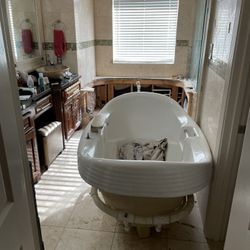 Jacuzzi Tub With Jets