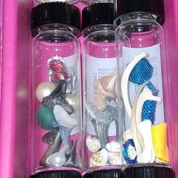 Display Jars , shells , shark teeth and bones