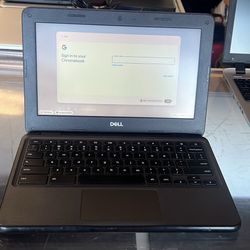 Dell Chromebook 3100