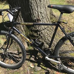 Specialized   Hard Rock