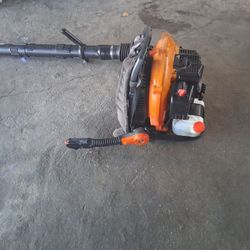 Echo Backpack Leaf Blower