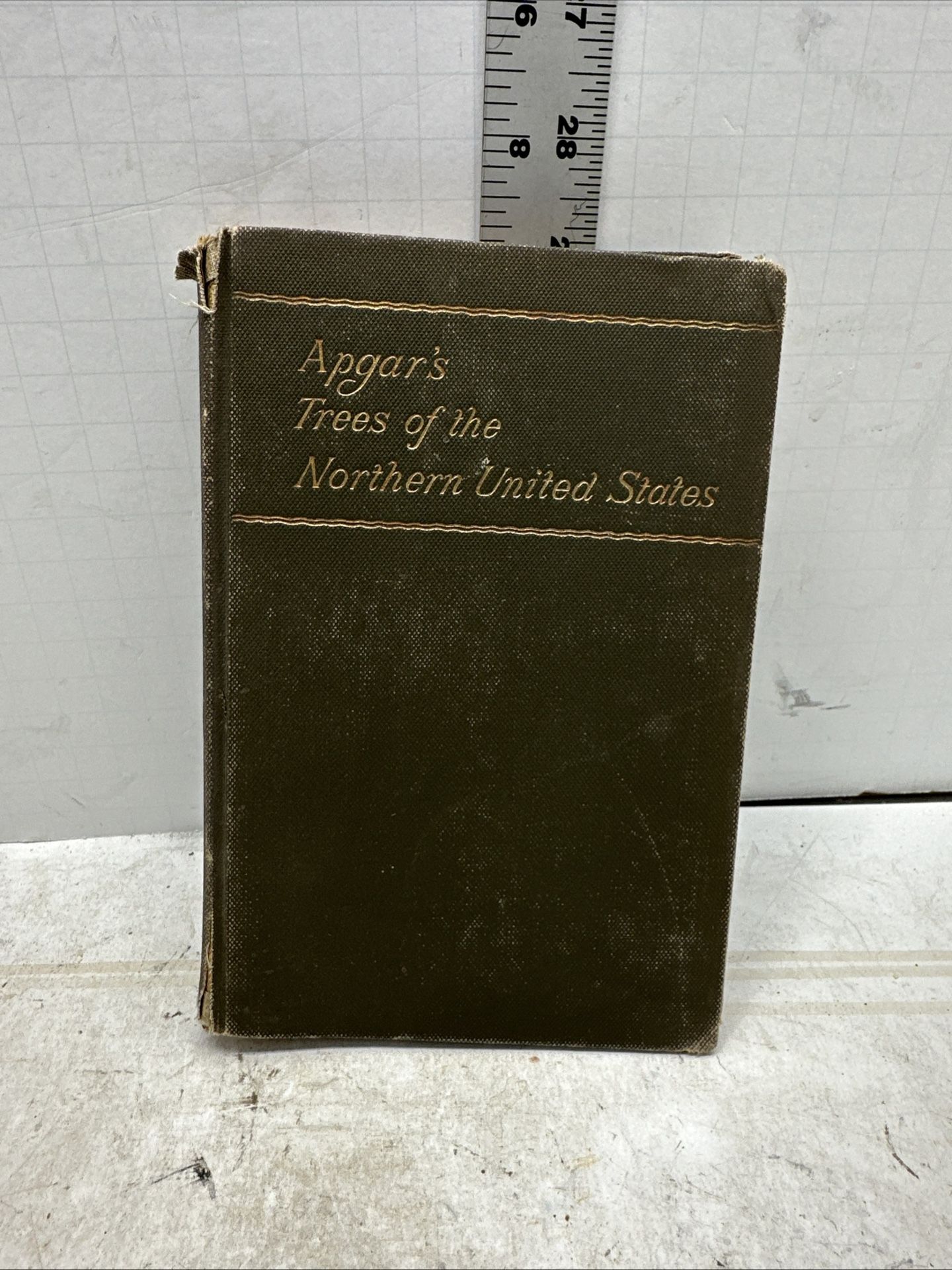 APGAR'S TREES OF THE NORTHERN UNITED STATES, Austin Apgar, 1892, #Т5