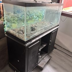 Large Fish Tank And Cabinet 