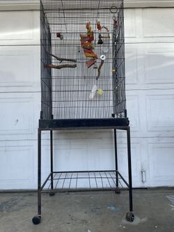 Parrot Cage 