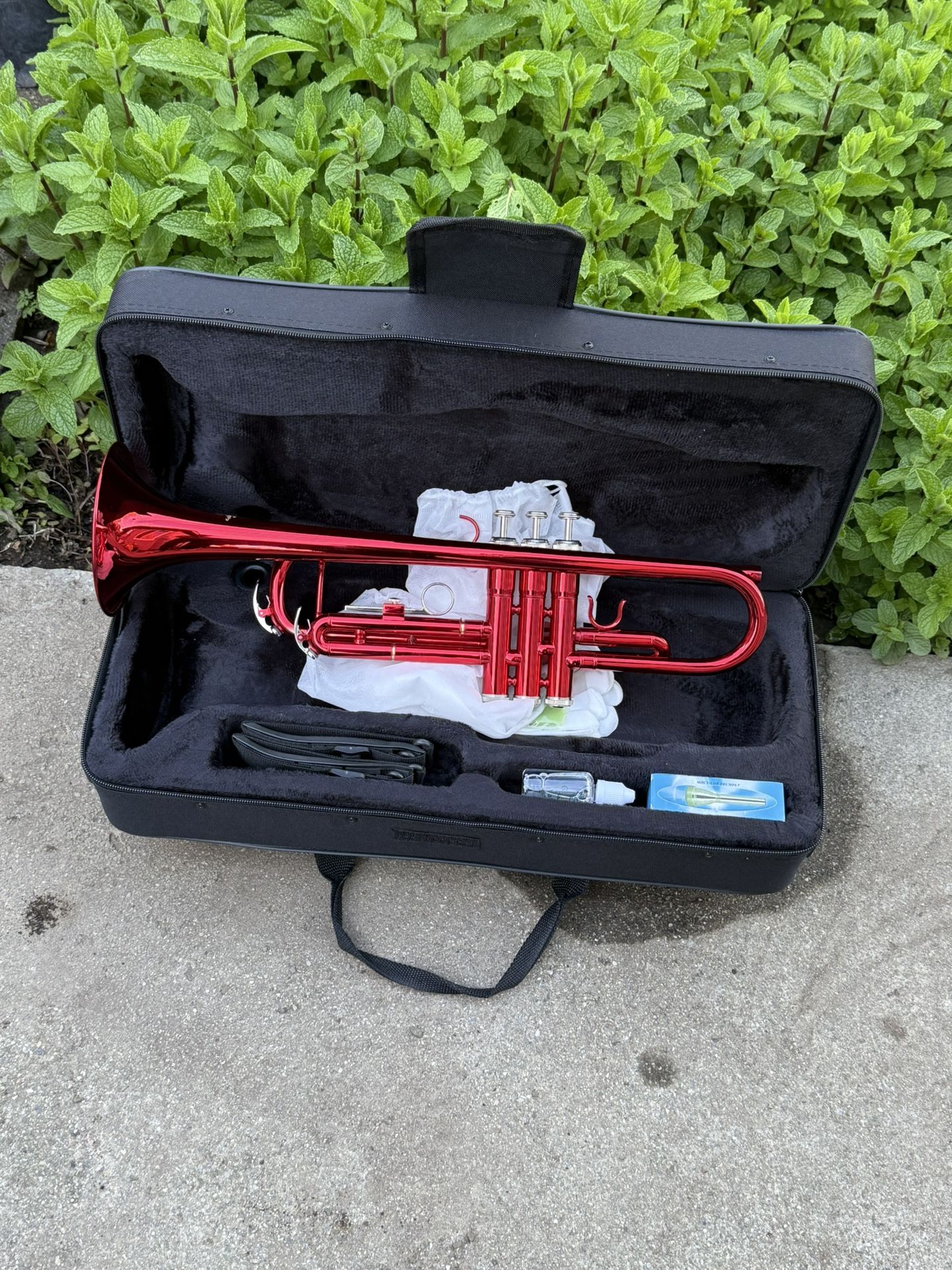 Great 😌 Trumpet 🎺