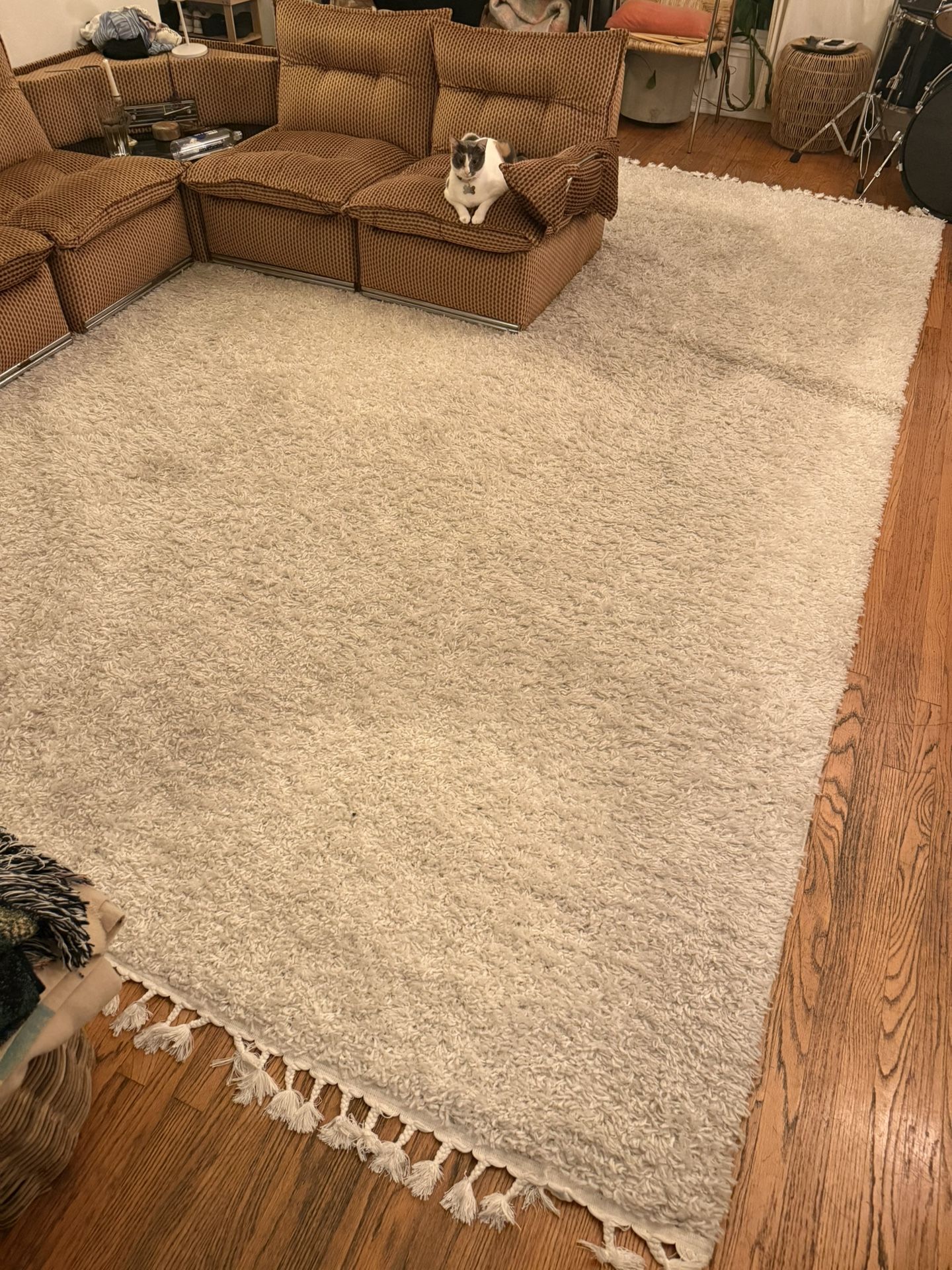 9x11 Rug
