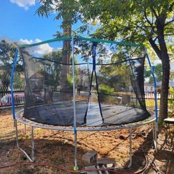 Trampoline need gone ASAP