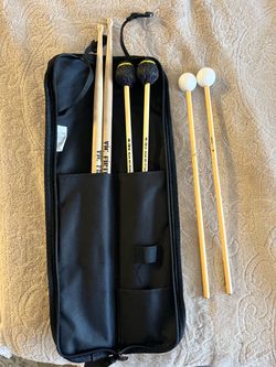 Drum sticks with case