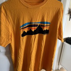 Mens Patagonia Tshirt