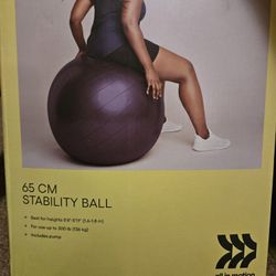 Stability Ball  65 Cm