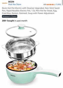 Electric hot pot with steamer (mint green)