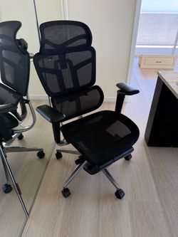 Ergohuman Ergonomic Mesh Office Chair w/ Headrest