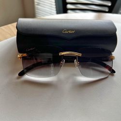 Cartier Glasses