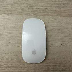 Apple Magic Mouse Rechargeable 