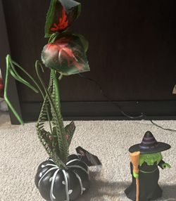 Halloween Decor 