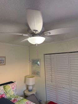 Ceiling Fans