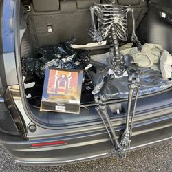 Halloween Decorations 
