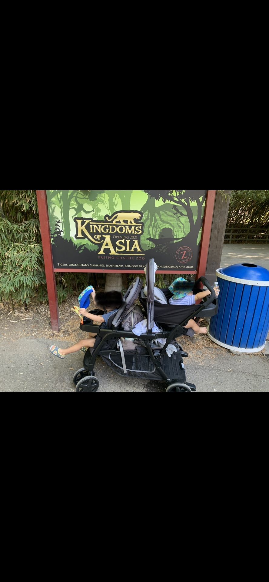 Double Stroller