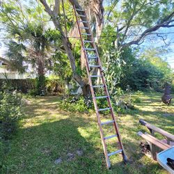 Louisville Ladder 20 ft. Fiberglass Extension Ladder With 300 lbs Load Capacity