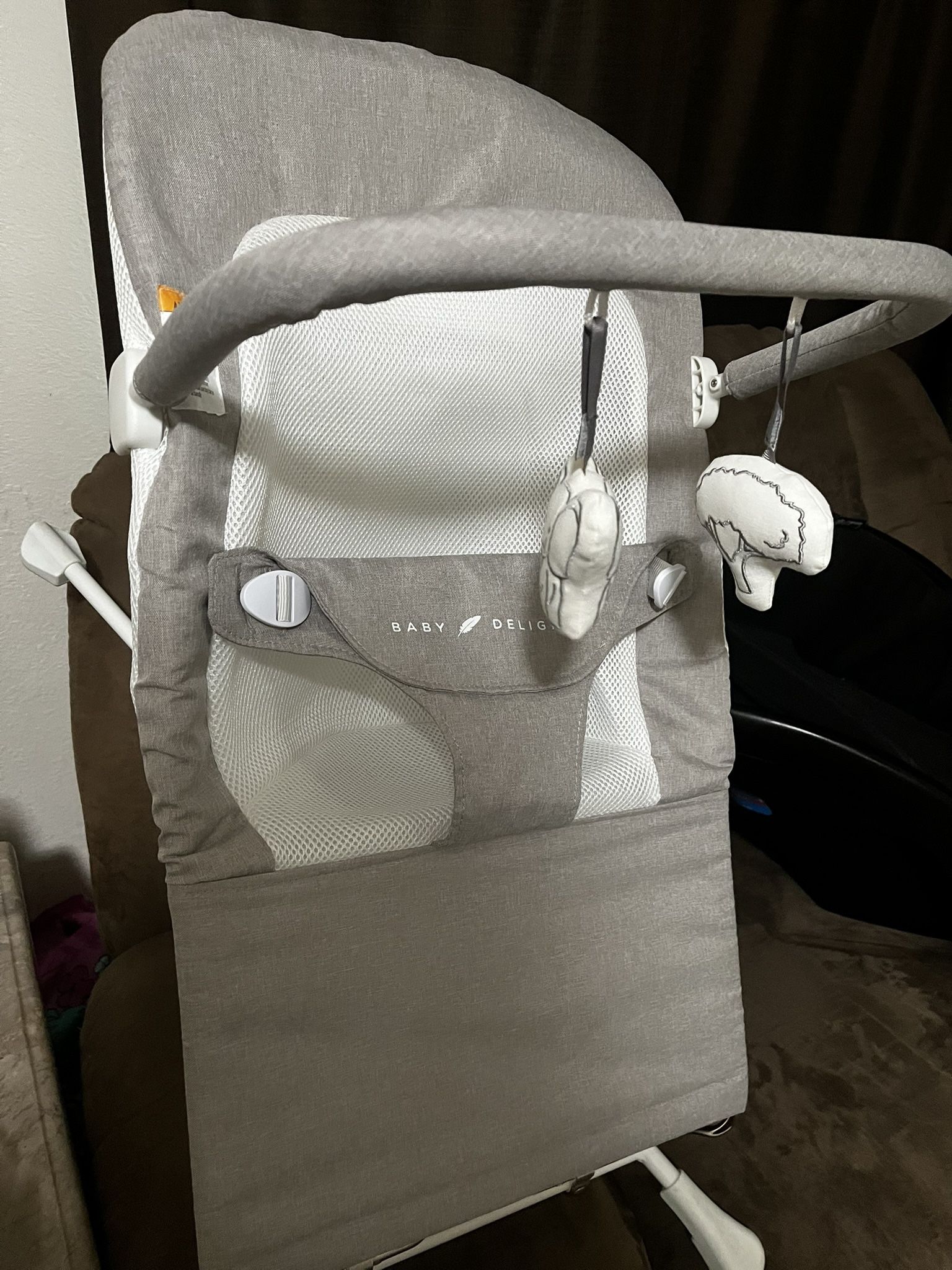 Baby Carrier