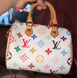 Louis Vuitton Multicolor Speedy Handbag