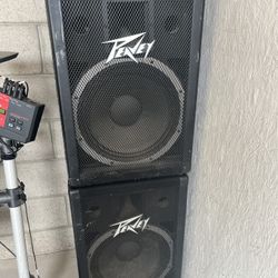 10 inch Peavey Speakers