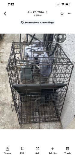 Large dog cage