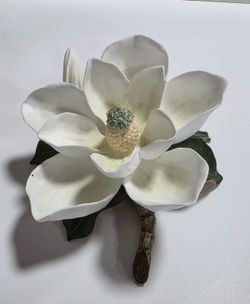 Home Interiors/ 2 Magnolias  por $180