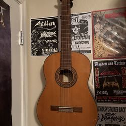 Acoustic Guitar
