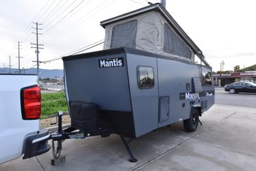 2019 Taxa Mantis