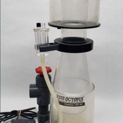 Reef Octopus Protein Skimmer