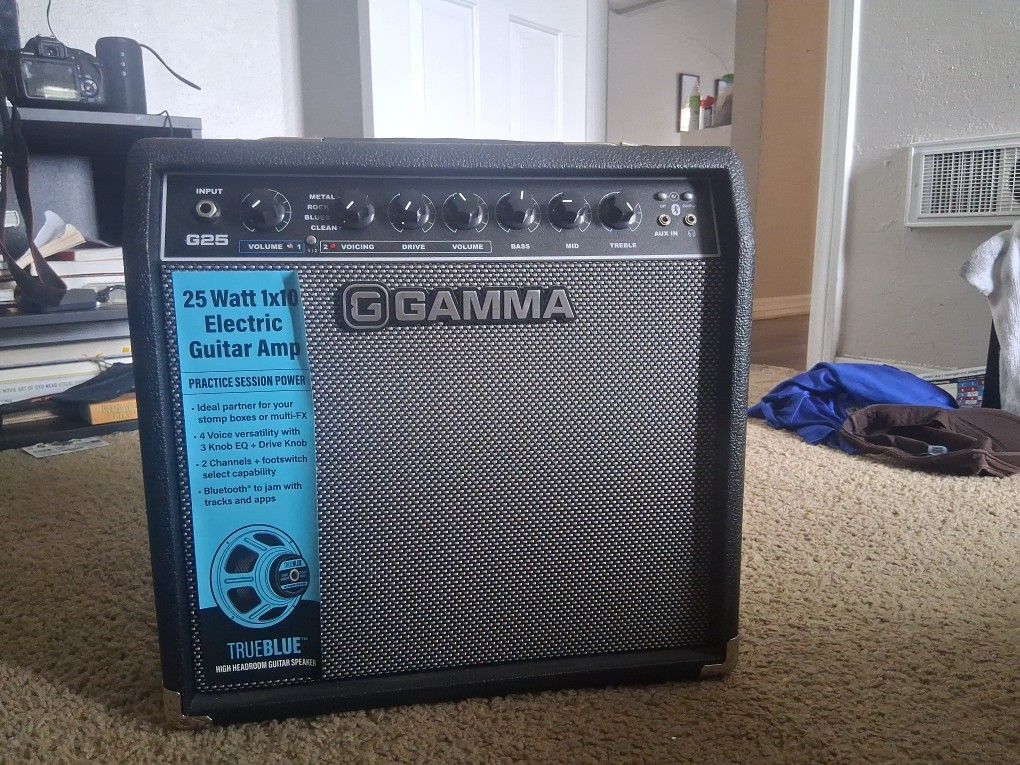 Gamma 25 Watt Amp