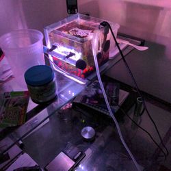 Small Half Gallons Setup Aquarium Fish Tank For Sale With Heater LED Lights And Filter Small One