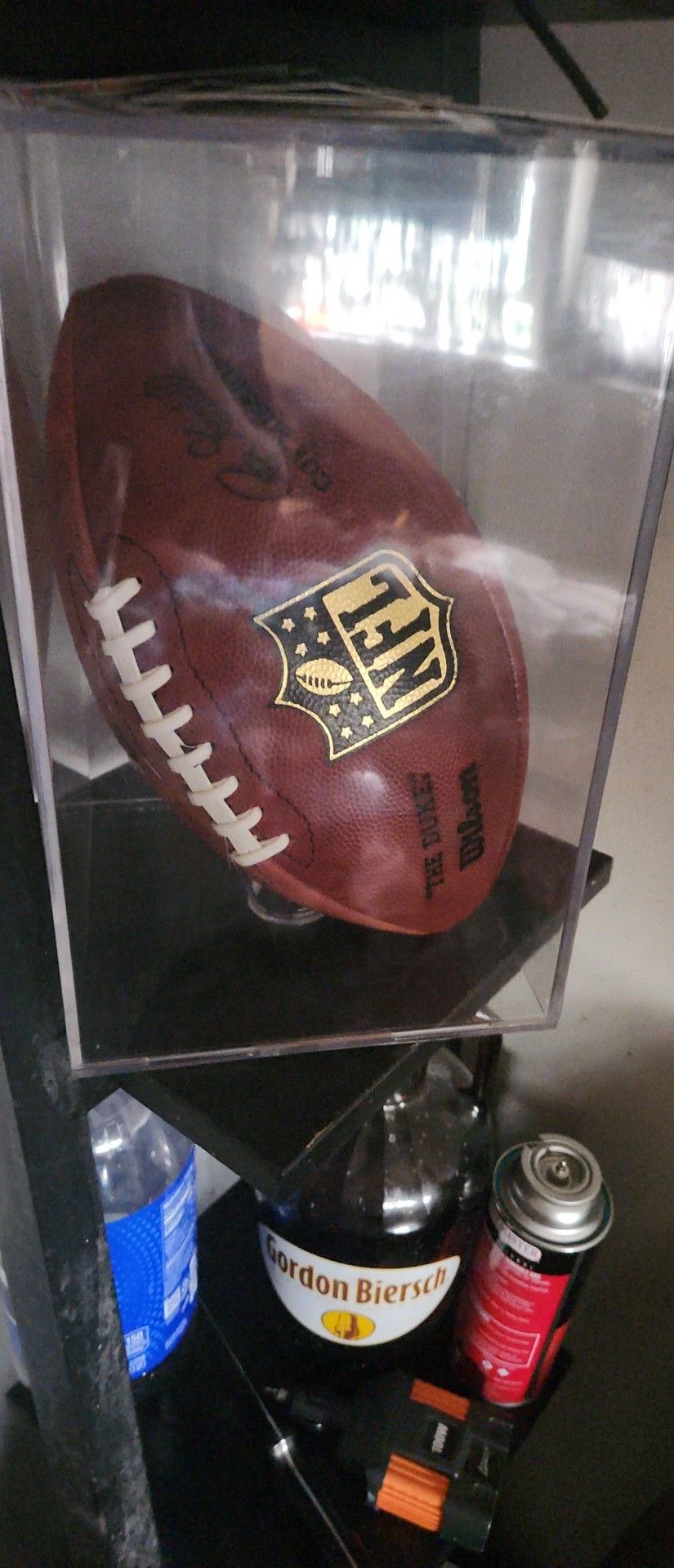 Official Game Football Pigskin