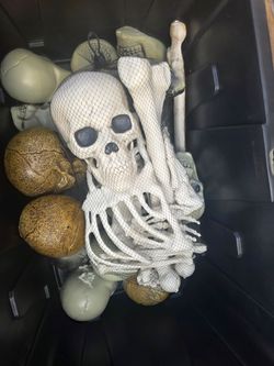 Halloween Decorations