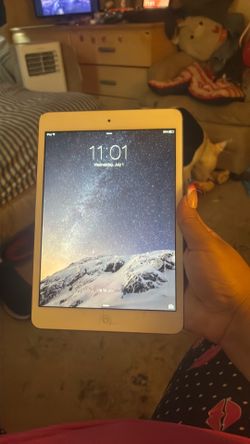 Apple iPad mini