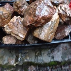 Petrified Wood Miscellaneous Sizes & Pieces