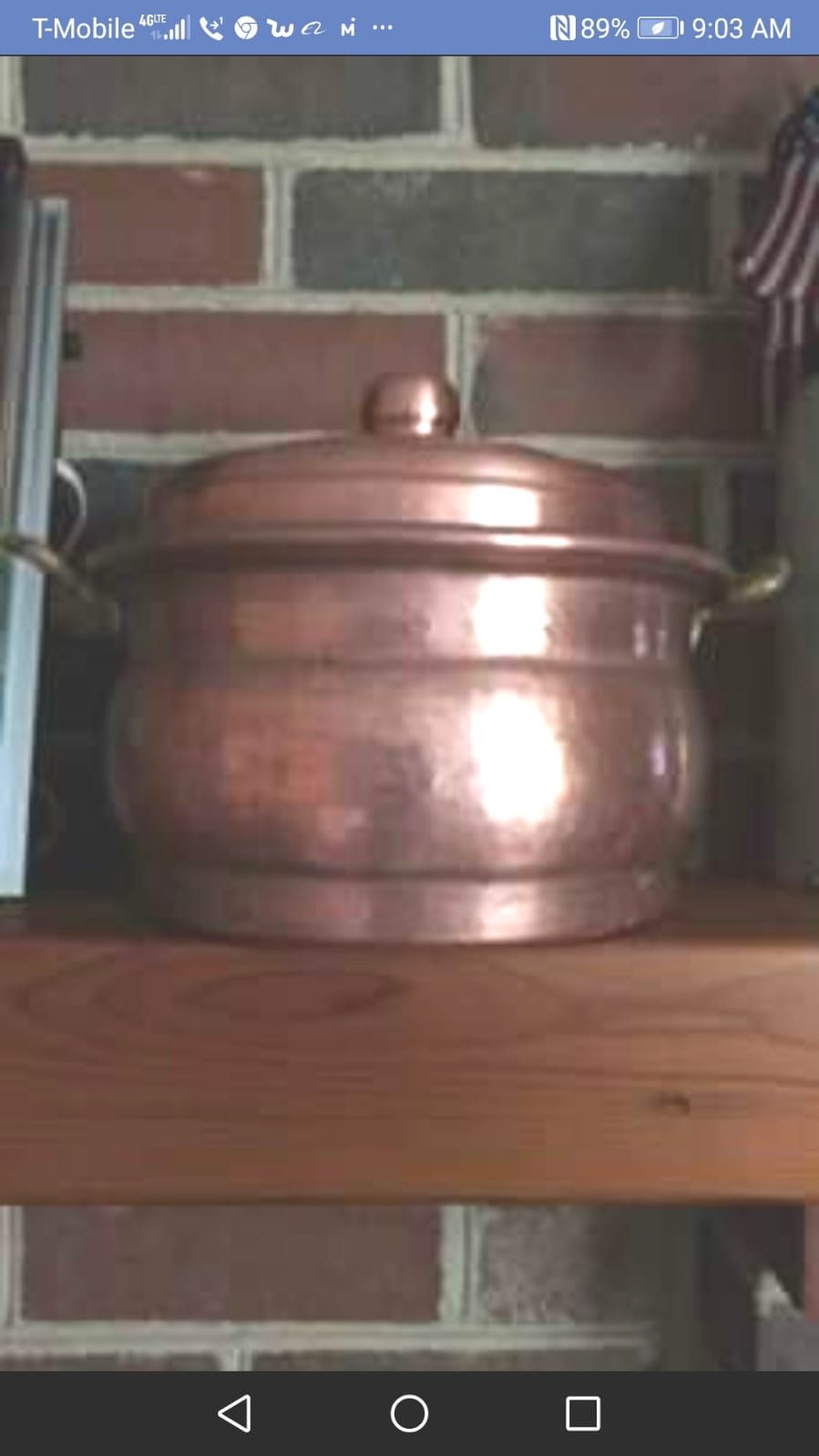 Copper Hammered pot