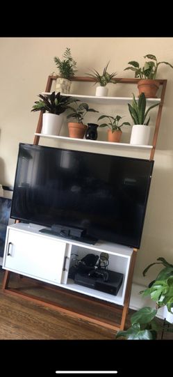 Mid century modern media center