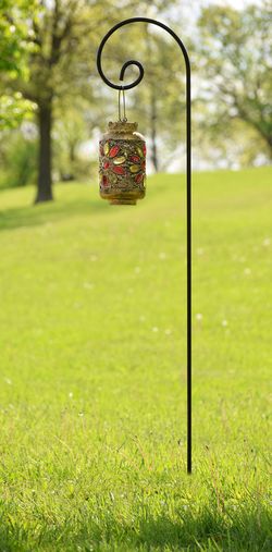 *NEW* Ashman Shepherd Hook 65 Inch, 1/2 Black Inch Diameter, Solid Metal for Hanging Plant Bird Feeders, Mason Jars, Plant Hangers, Flower Baskets, C