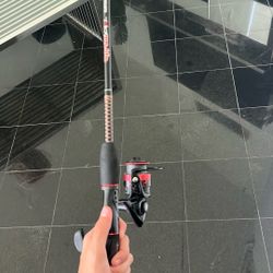 Ugly Stick gx2 custom 