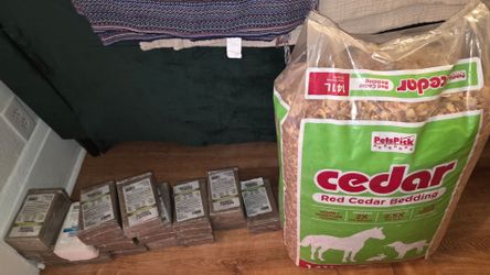 Horse cedar & salt blocks