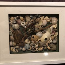 Seashell Mosaic 