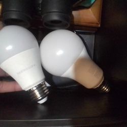 MerKury light Bulds