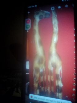 Carved Wood Giraffes 3 Fttall